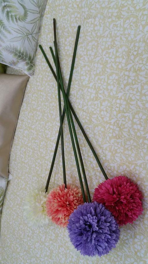 Apartamento Ideal Familias Y Grupos Виго Екстериор снимка